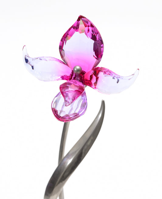 Retired Swarovski Crystal Dorora Fuchsia Rain Flower 681542 Exotic Flowers (A2148B)