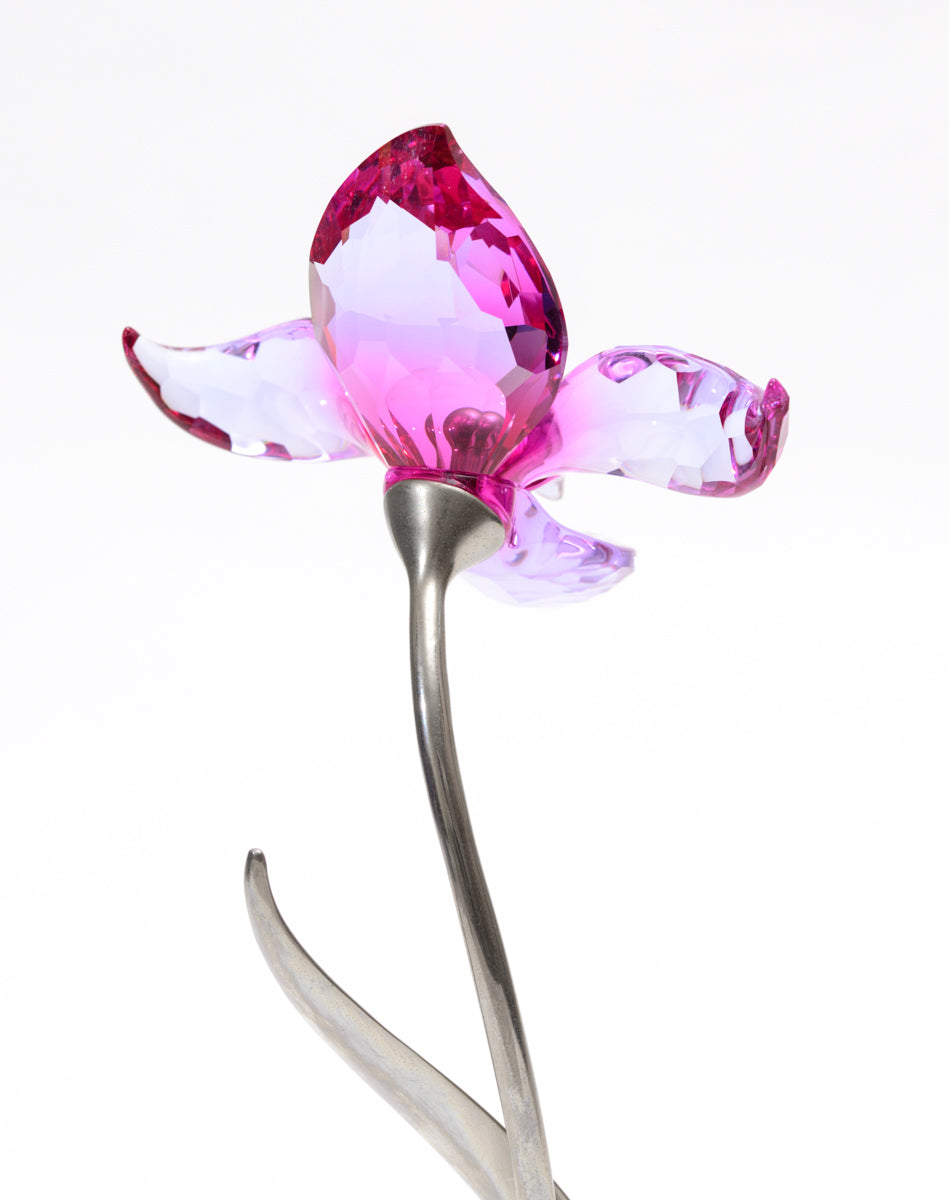 Retired Swarovski Crystal Dorora Fuchsia Rain Flower 681542 Exotic Flowers (A2148B)